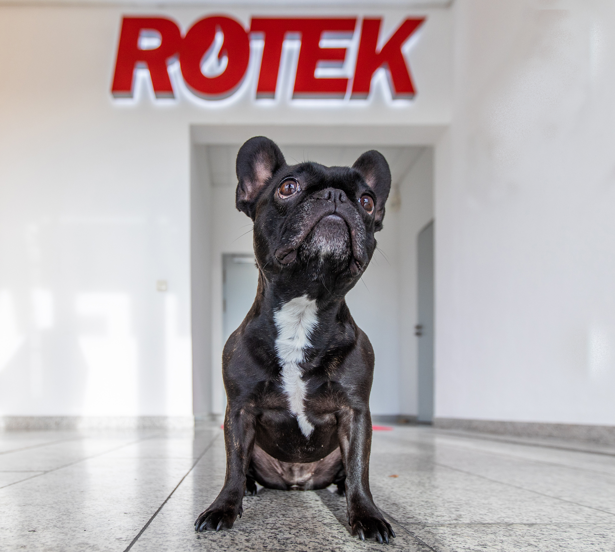 Rotek GmbH - Lotte